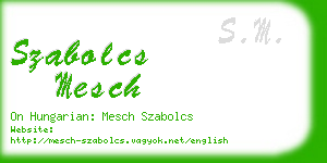 szabolcs mesch business card